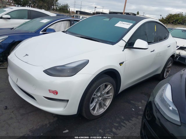 2023 TESLA MODEL Y 7SAYGDED1PF971184 Photo 1