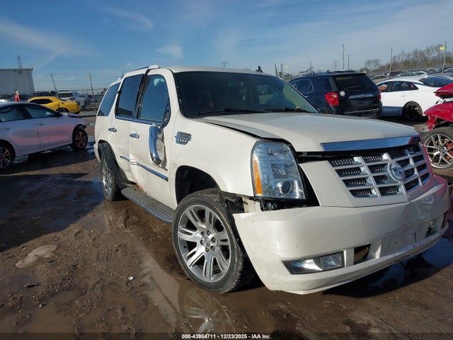 2011 CADILLAC ESCALADE 1GYS4BEF3BR103895 Photo 0