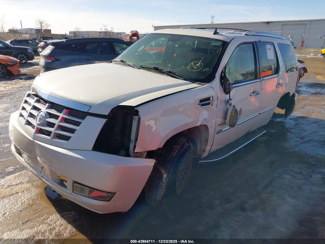 2011 CADILLAC ESCALADE 1GYS4BEF3BR103895 Photo 1