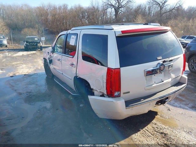 2011 CADILLAC ESCALADE 1GYS4BEF3BR103895 Photo 2