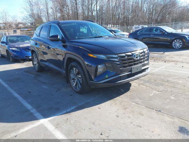 2022 HYUNDAI TUCSON HYBRID KM8JBCA14NU011151