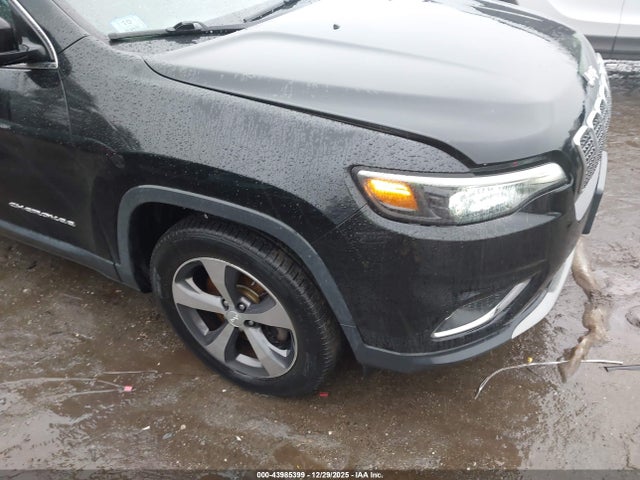 2019 JEEP CHEROKEE 1C4PJMDX8KD295399