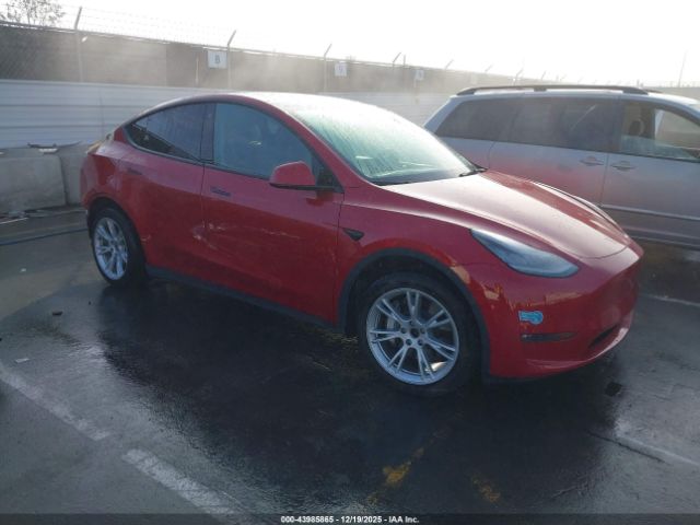 2021 TESLA MODEL Y 5YJYGDEEXMF199138