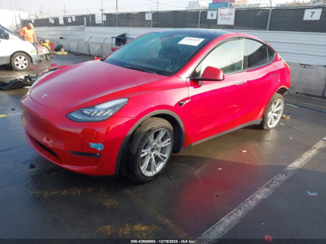 2021 TESLA MODEL Y 5YJYGDEEXMF199138 Photo 1