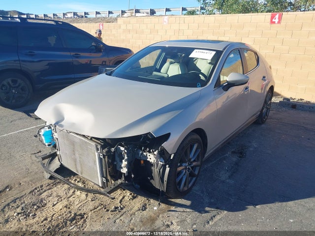 JM1BPALM8P1604621 Mazda 3 Preferred