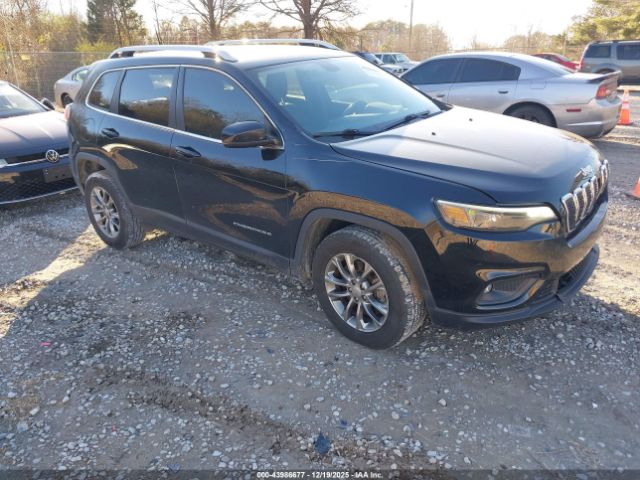 2019 JEEP CHEROKEE 1C4PJLLB9KD411418