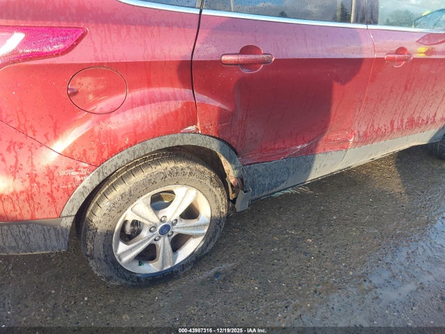 Ford ESCAPE SE 2014 1FMCU9G99EUC23174 Image 6