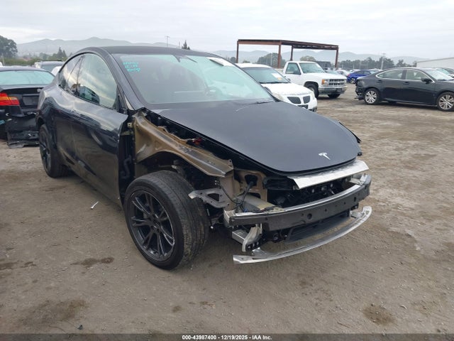 2025 TESLA MODEL Y 7SAYGDED8SF279691 Photo 0