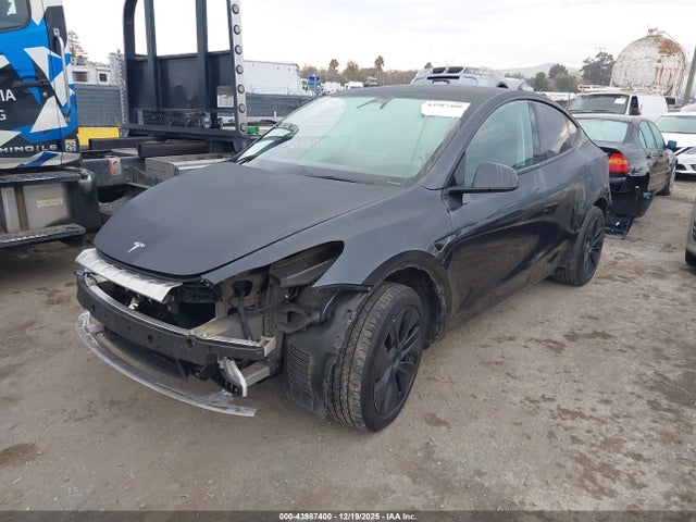 2025 TESLA MODEL Y 7SAYGDED8SF279691 Photo 1