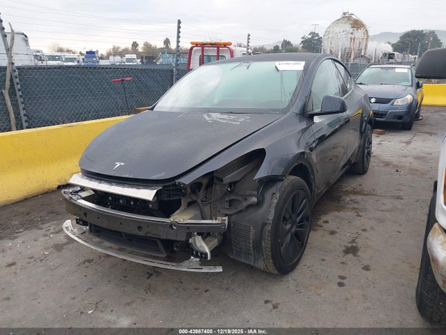 2025 TESLA MODEL Y 7SAYGDED8SF279691 Photo 5
