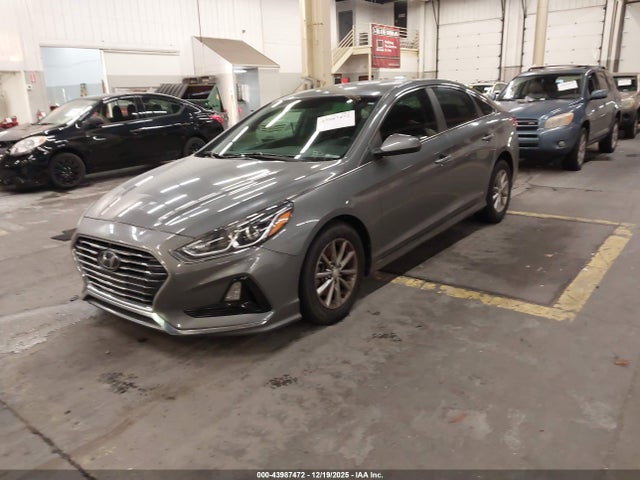 Hyundai SONATA SE 2019 5NPE24AF9KH749427 Image 2