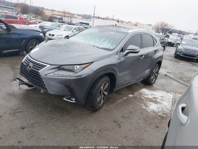 JTJBARBZ4J2162920 Lexus NX 300