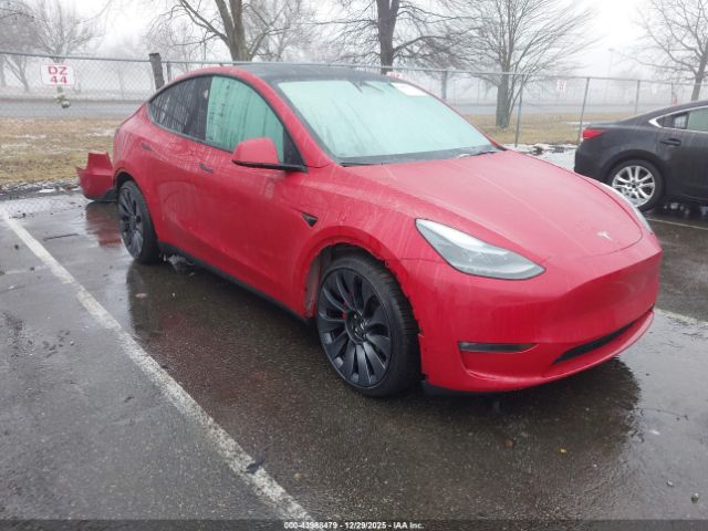 2023 TESLA MODEL Y 7SAYGDEFXPF906769