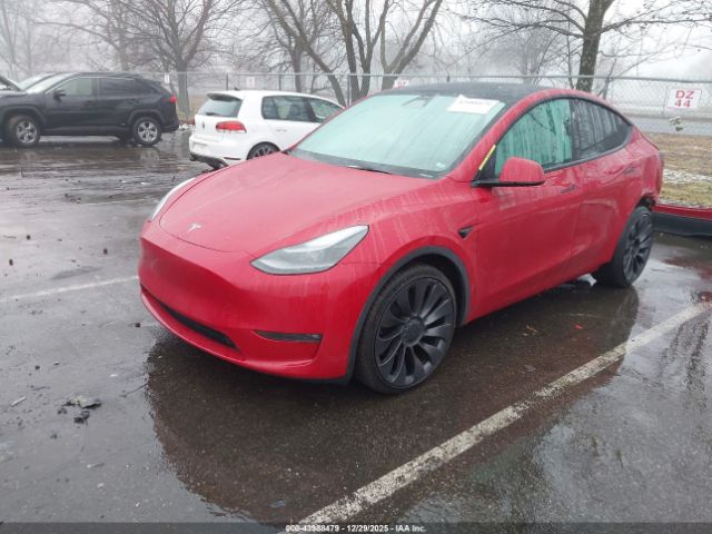 2023 TESLA MODEL Y 7SAYGDEFXPF906769 Photo 1