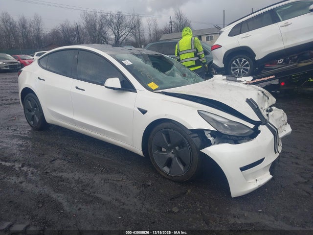 2023 TESLA MODEL 3 5YJ3E1EA2PF625162 Photo 0