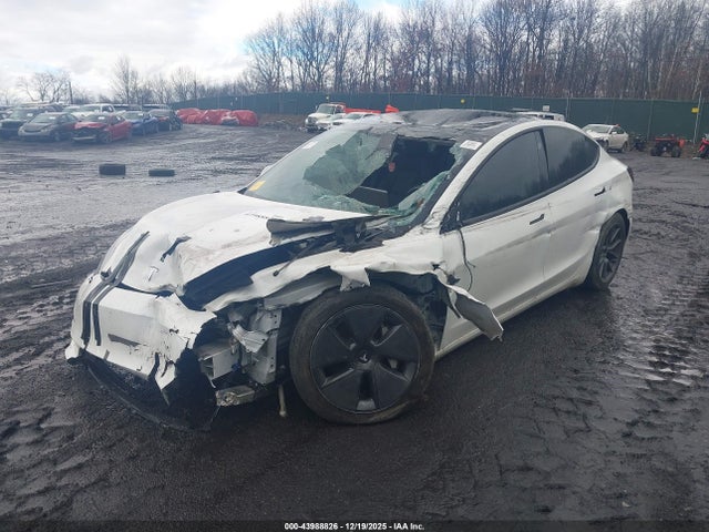 2023 TESLA MODEL 3 5YJ3E1EA2PF625162 Photo 1