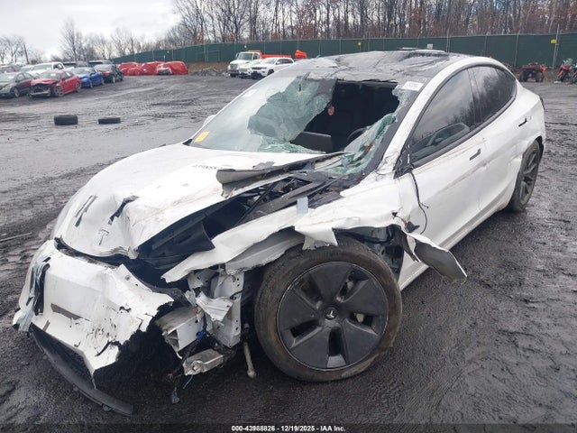 2023 TESLA MODEL 3 5YJ3E1EA2PF625162 Photo 5