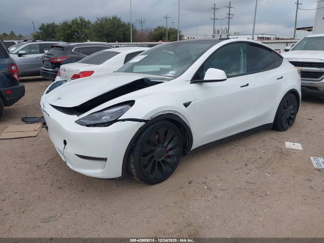 2025 TESLA MODEL Y 7SAYGDEFXSA347066 Photo 1