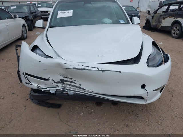 2025 TESLA MODEL Y 7SAYGDEFXSA347066 Photo 5
