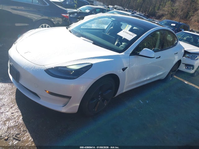 2023 TESLA MODEL 3 5YJ3E1EA4PF550593 Photo 1