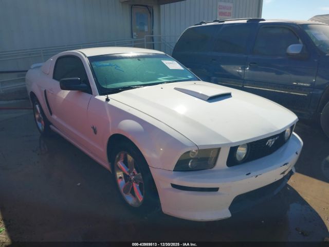 2009 FORD MUSTANG 1ZVHT82H495127763