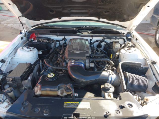 2009 FORD MUSTANG 1ZVHT82H495127763 Photo 9