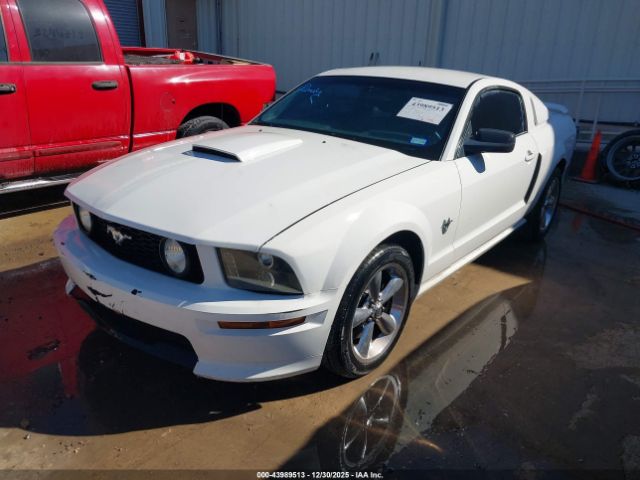 2009 FORD MUSTANG 1ZVHT82H495127763 Photo 1