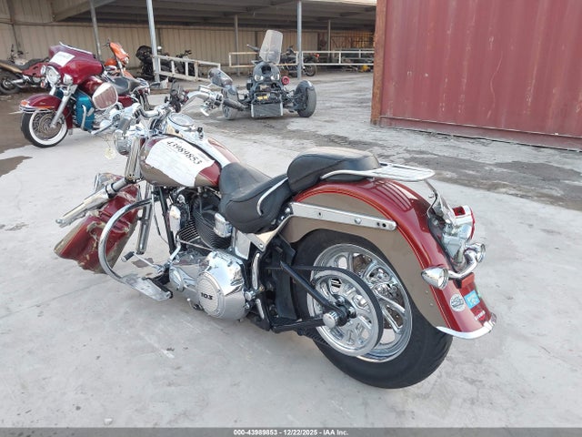 2009 HARLEY-DAVIDSON FLSTN 1HD1JD5159Y050464 Photo 2