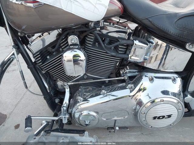 2009 HARLEY-DAVIDSON FLSTN 1HD1JD5159Y050464 Photo 8