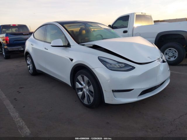 2022 TESLA MODEL Y 7SAYGAEE4NF490494