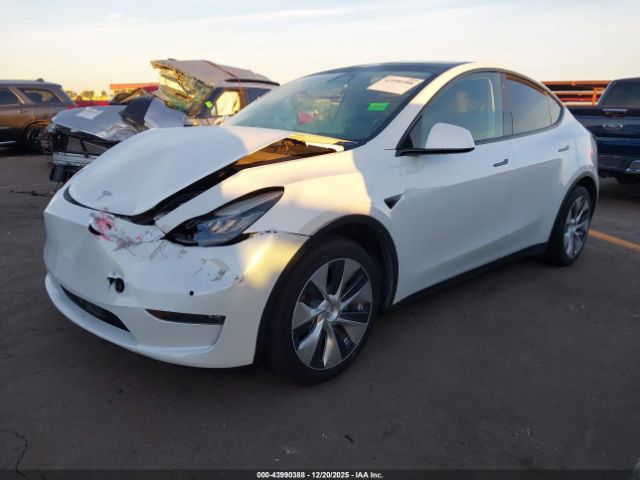 2022 TESLA MODEL Y 7SAYGAEE4NF490494 Photo 1