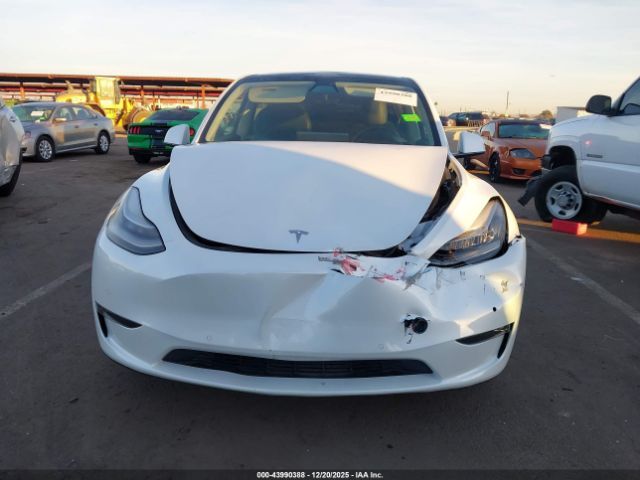 2022 TESLA MODEL Y 7SAYGAEE4NF490494 Photo 5