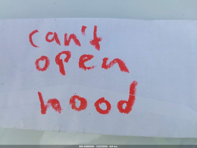 2023 TESLA MODEL Y 7SAYGDEE4PA134810 Photo 9