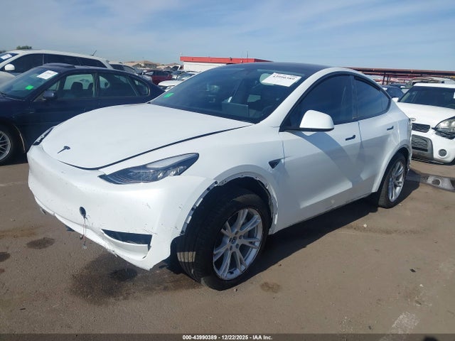 2023 TESLA MODEL Y 7SAYGDEE4PA134810 Photo 1