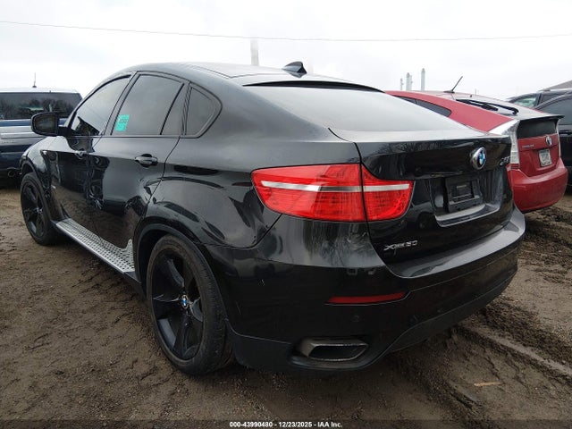 2009 BMW X6 5UXFG83549LZ93153 Photo 2