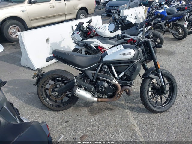 ML0KAFPM6PT007044 Ducati Scrambler Desert Sled