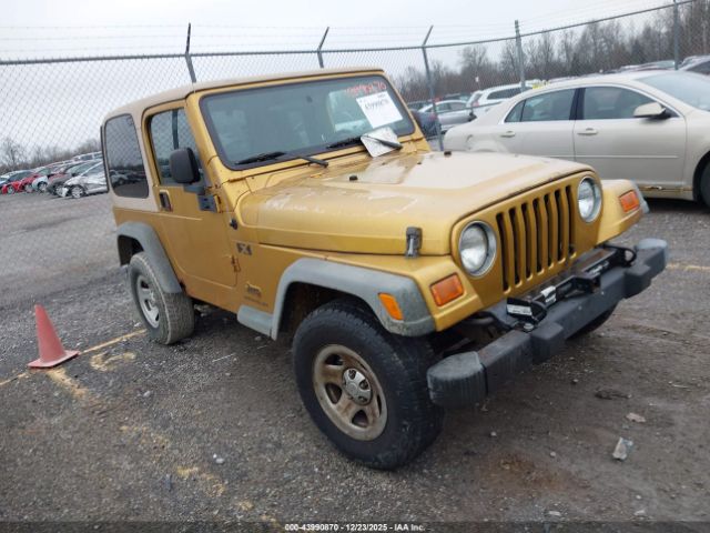 2003 JEEP WRANGLER 1J4FA39S93P331033