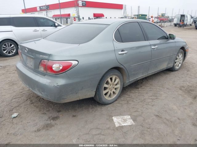 2003 LEXUS ES 300 JTHBF30G836020566 Photo 3