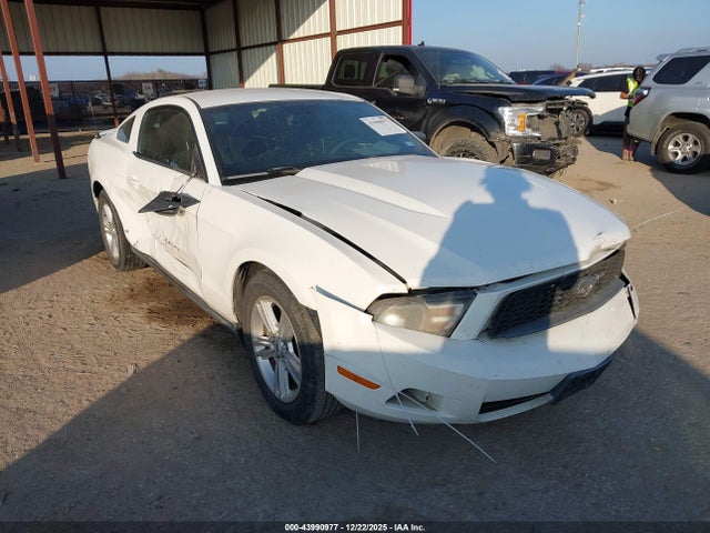 2011 FORD MUSTANG 1ZVBP8AM8B5125142