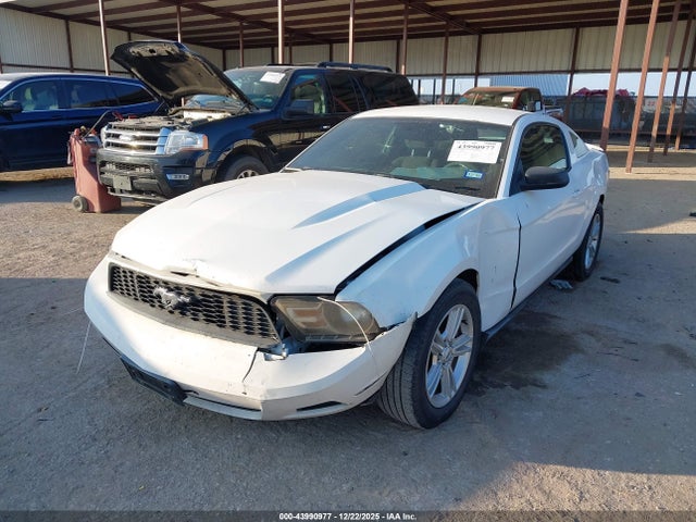 2011 FORD MUSTANG 1ZVBP8AM8B5125142 Photo 1