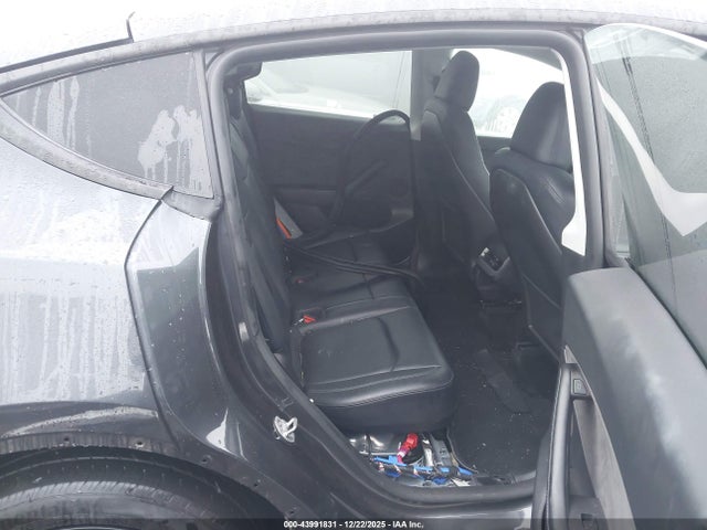 2024 TESLA MODEL Y 7SAYGDEE8RF113996 Photo 7