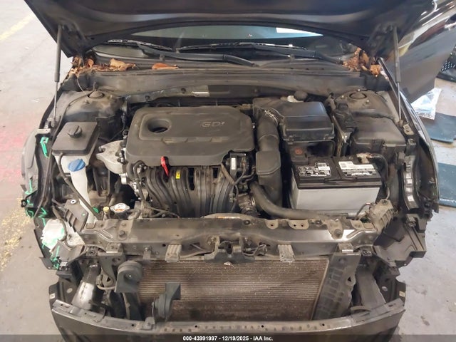 5XXGU4L31GG096083 KIA OPTIMA EX