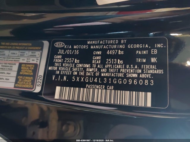 5XXGU4L31GG096083 KIA OPTIMA EX