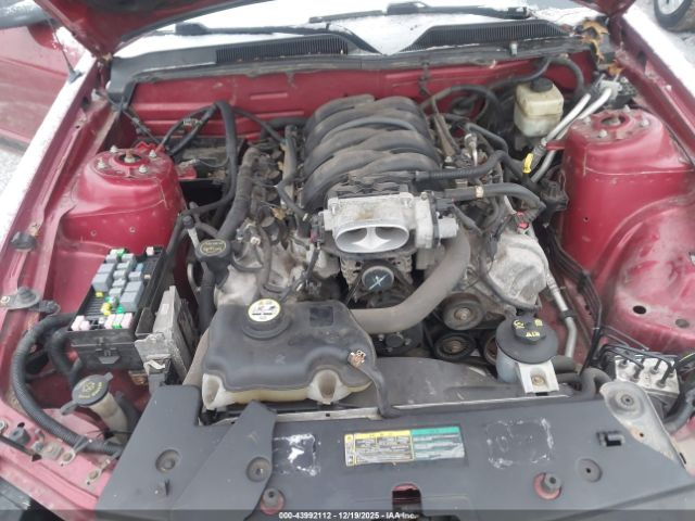 2007 FORD MUSTANG 1ZVFT82H775292081 Photo 9