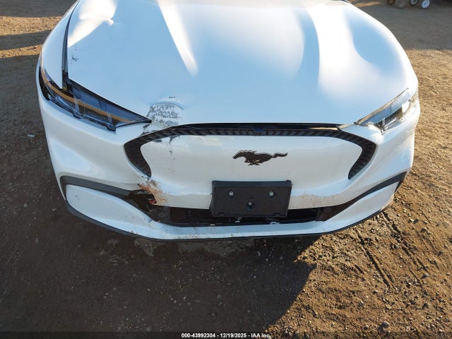 Ford Mustang Mach-e Select 2024 3FMTK1SU4RMA36714 Image 6