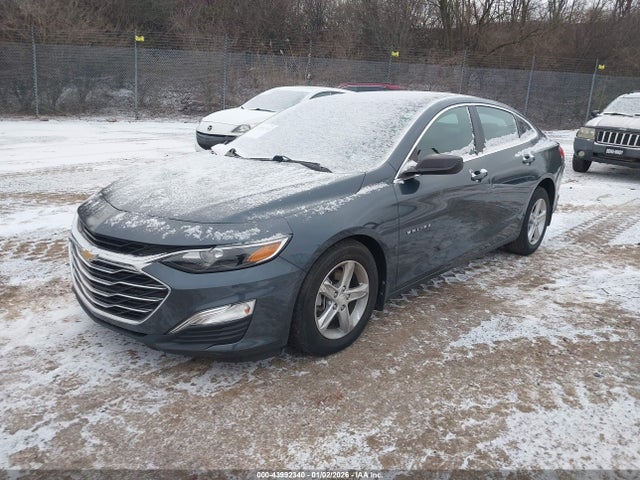 2019 CHEVROLET MALIBU 1G1ZB5ST9KF186569 Photo 1