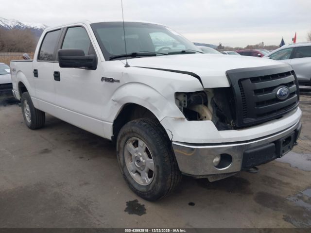 2014 FORD F-150 1FTFW1EF4EFA45779