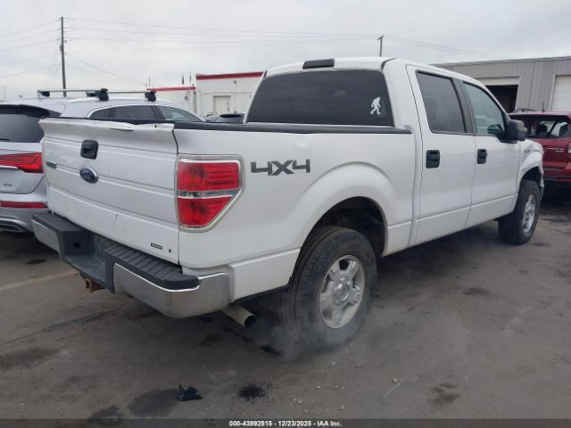 2014 FORD F-150 1FTFW1EF4EFA45779 Photo 3
