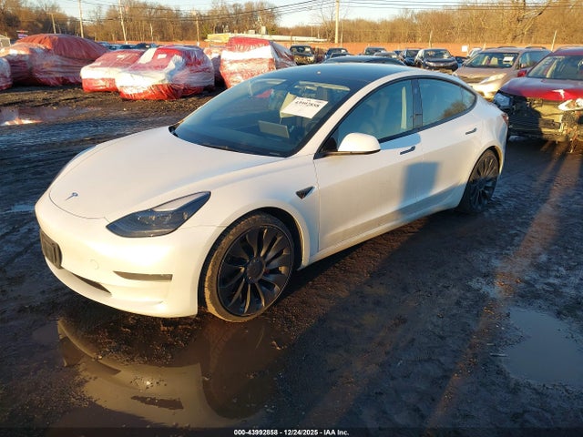2023 TESLA MODEL 3 5YJ3E1EC8PF559492 Photo 1