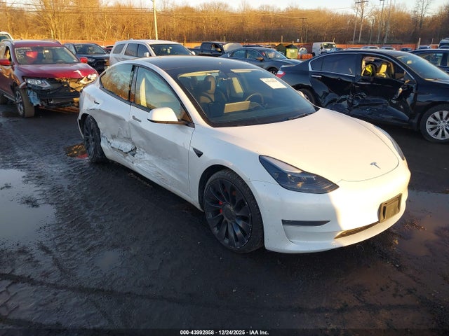 2023 TESLA MODEL 3 5YJ3E1EC8PF559492 Photo 5